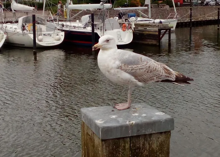 Lägenhet Amselpark *